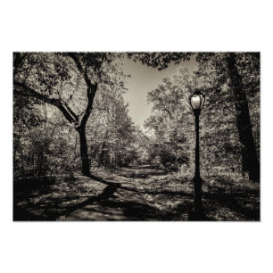 Vyn Black and White Autumn Central Park Fototryck