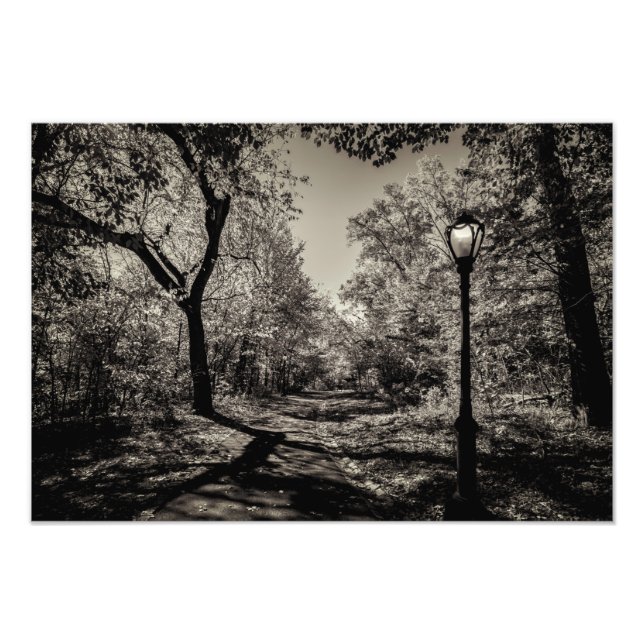 Vyn Black and White Autumn Central Park Fototryck (Framsidan)