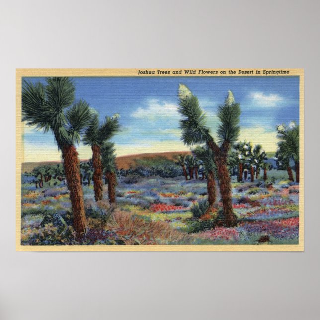 Vyn Joshua Träd och Desert Vild Flowers View Poster (Framsidan)