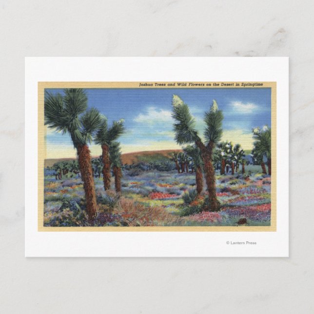 Vyn Joshua Träd och Desert Vild Flowers View Vykort (Framsida)