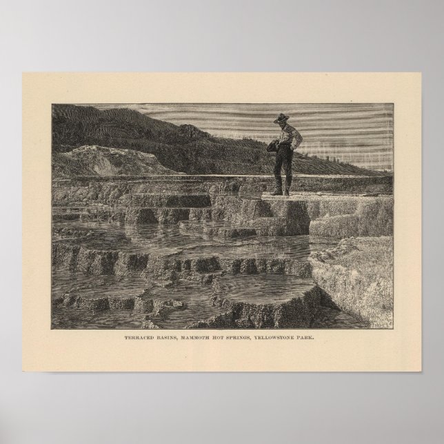 vyn Mammoth Hett Vår Poster (Framsidan)