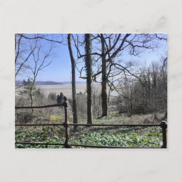 Vyn Morecambe Bay Vykort