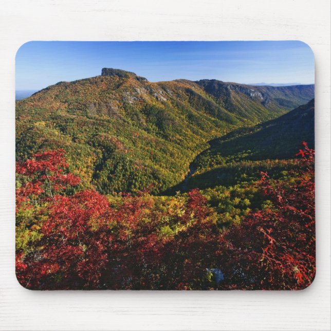 Vyn på hösten i Linville Gorge kallas ofta för Musmatta (Framsidan)