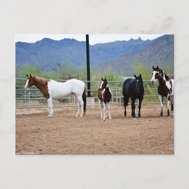 Vyn Vykort (Framsida)