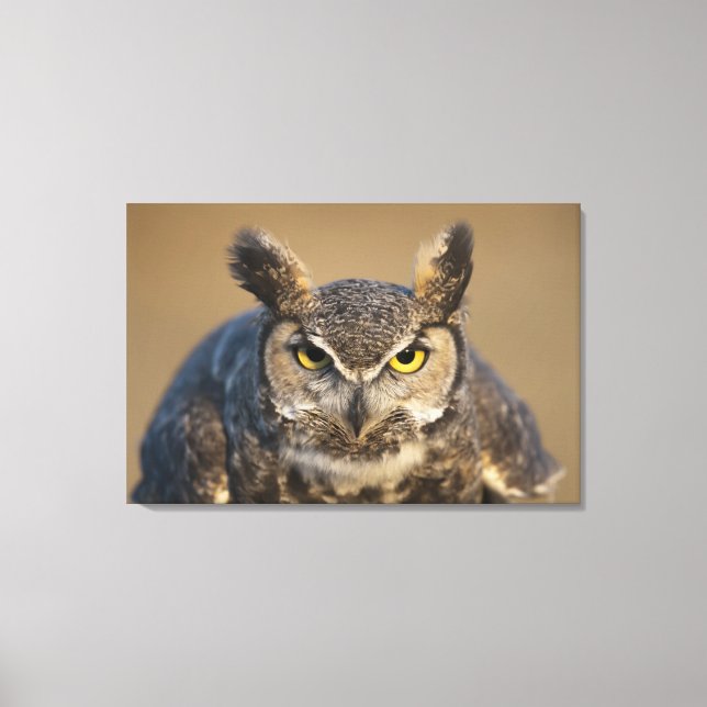 Vyoming, usa canvastryck (Framsida)