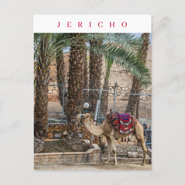 vyvykort för Jericho-videokamel Vykort (Framsida)