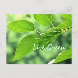 Vyvykort för Live Grönt Vykort