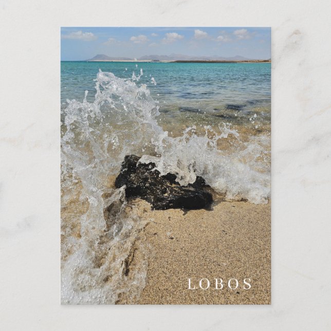 vyvyvykort för Lobos Island Vykort (Framsida)