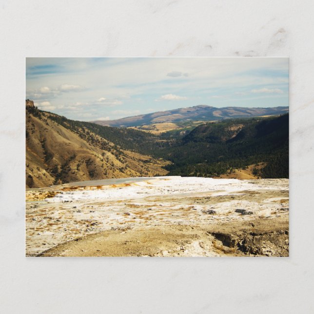 vyvyvyvykort för mammoth vykort (Framsida)