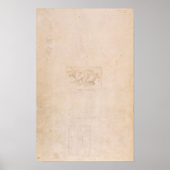 W.54 Studie av en dragon Poster (Framsidan)