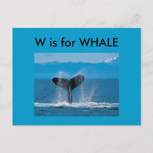 "W" är för Whale Alphabet Flashcard Vykort (Framsida)