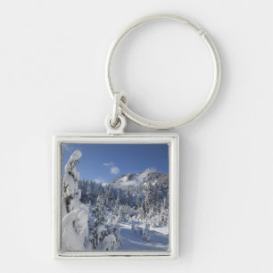 WA, Alpine Lakes Wilderness, Snow Lake bassäng Fyrkantig Silverfärgad Nyckelring
