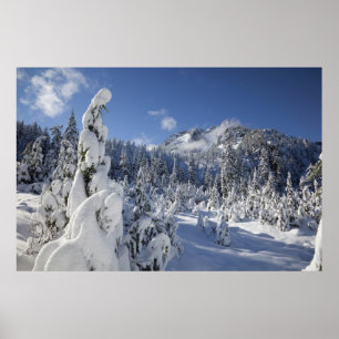 WA, Alpine Lakes Wilderness, Snow Lake-bassängen Poster