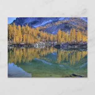WA, Alpine Sjöar Wilderness, Enchantation 5 Vykort