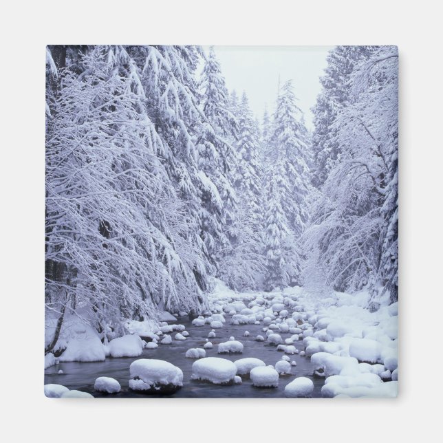 WA, berget Baker-Snoqualmie National Forest Magnet (Framsidan)