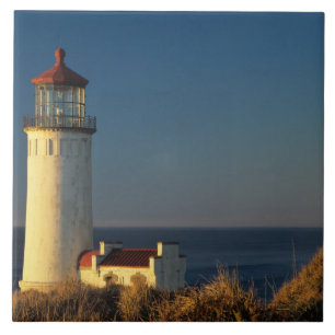 WA, Cape Disappointment State Park, North Head Kakelplatta
