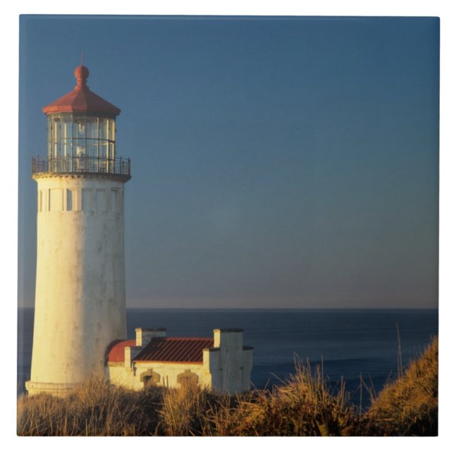 WA, Cape Disappointment State Park, North Head Kakelplatta (Framsidan)