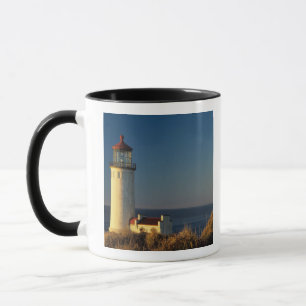 WA, Cape Disappointment State Park, North Head Mugg