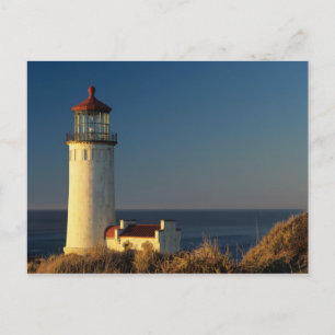 WA, Cape Disappointment State Park, North Head Vykort
