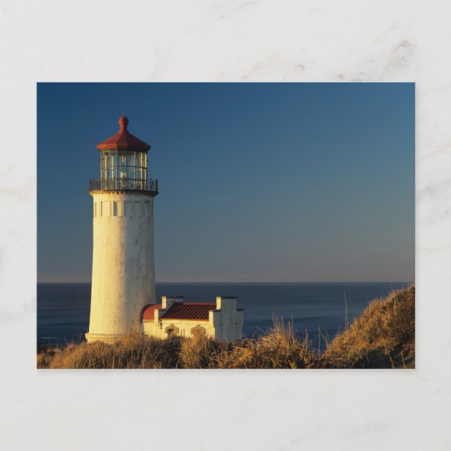WA, Cape Disappointment State Park, North Head Vykort (Framsida)