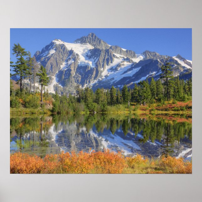WA, Heather Meadows Recreation Area, Mt. Poster (Framsidan)