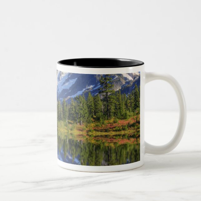 WA, Heather Meadows rekreationsområde, Mt. Två-Tonad Mugg (Höger)