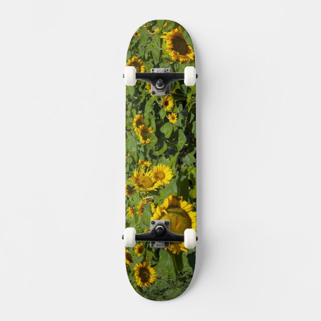 WA, Kittitas County, Solfälts Mini Skateboard Bräda 18,7 Cm (Framsida)