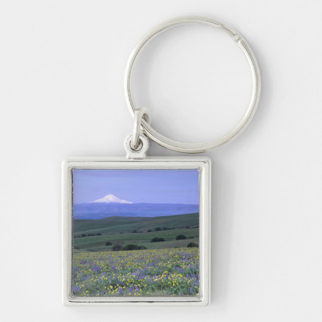 WA, Klickitat County, Dalles Mountain Ranch, Fyrkantig Silverfärgad Nyckelring (Framsidan)