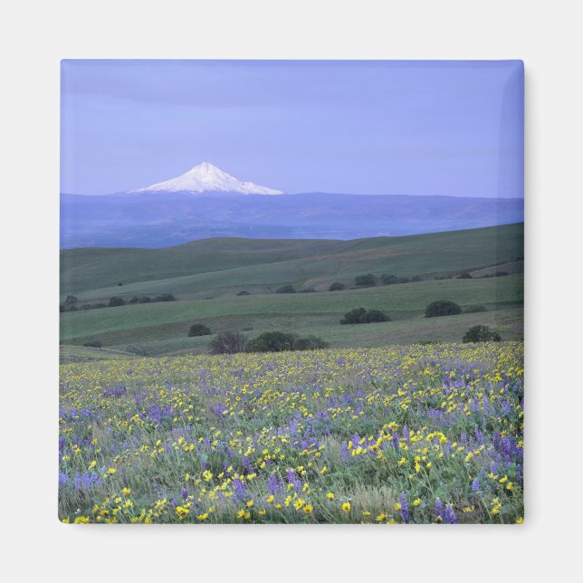 WA, Klickitat County, Dalles Mountain Ranch, Magnet (Framsidan)