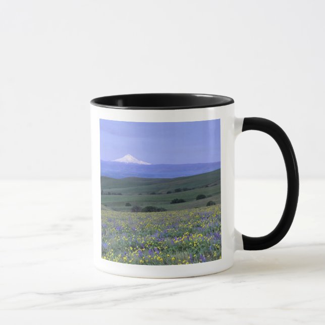 WA, Klickitat County, Dalles Mountain Ranch, Mugg (Höger)