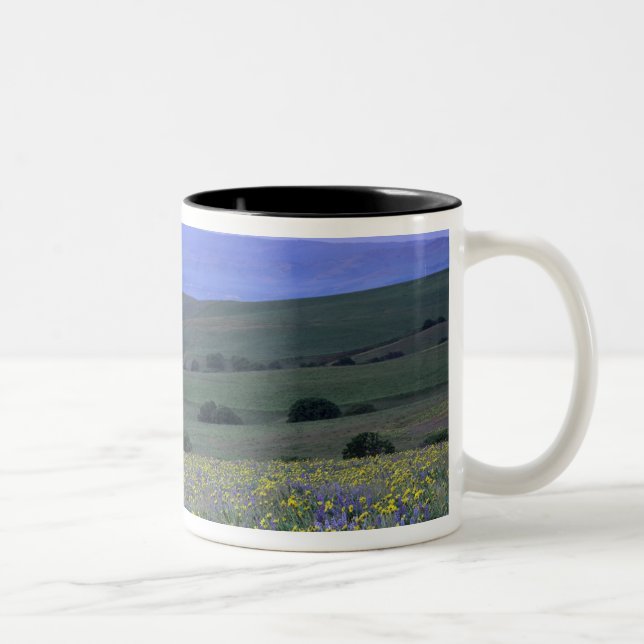 WA, Klickitat County, Dalles Mountain Ranch, Två-Tonad Mugg (Höger)