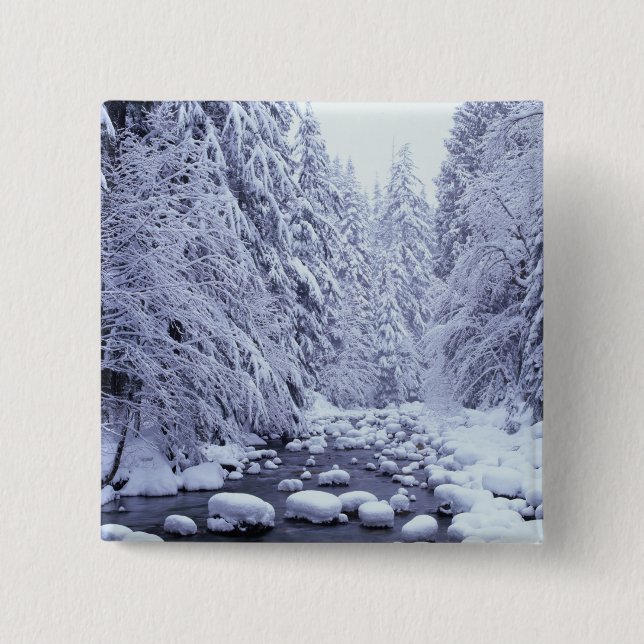 WA, Mount Baker-Snoqualmie nationalpark, Knapp (Framsida)