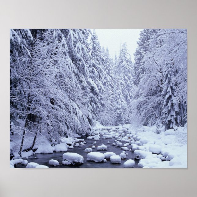 WA, Mount Baker-Snoqualmie nationalpark, Poster (Framsidan)
