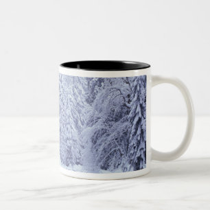 WA, Mount Baker-Snoqualmie nationalpark, Två-Tonad Mugg