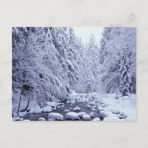 WA, Mount Baker-Snoqualmie nationalpark, Vykort