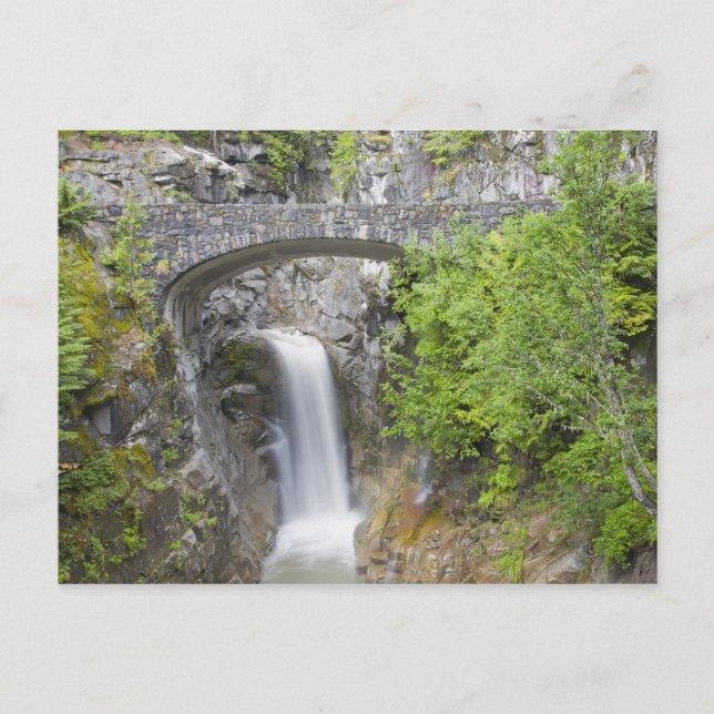 WA, Mount Rainier nationalpark, Christine Falls Vykort (Framsida)