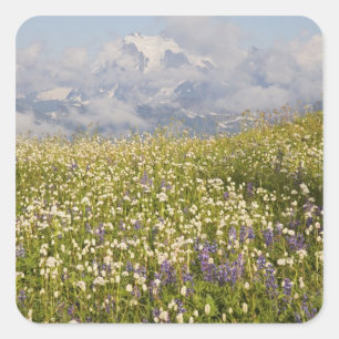 WA, Mt. Baker Wilderness, Mt. Shuksan och Fyrkantigt Klistermärke