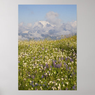 WA, Mt. Baker Wilderness, Mt. Shuksan och Poster