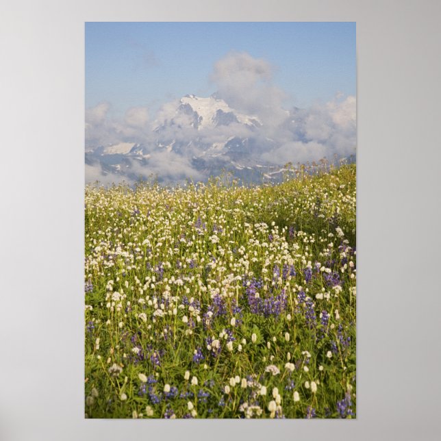 WA, Mt. Baker Wilderness, Mt. Shuksan och Poster (Framsidan)