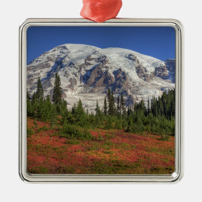 WA, Mt Rainier National Park, Paradise Valley Julgransprydnad Metall (Framsidan)