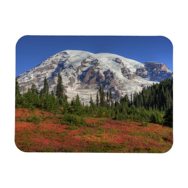 WA, Mt Rainier National Park, Paradise Valley Magnet (Horisontell)