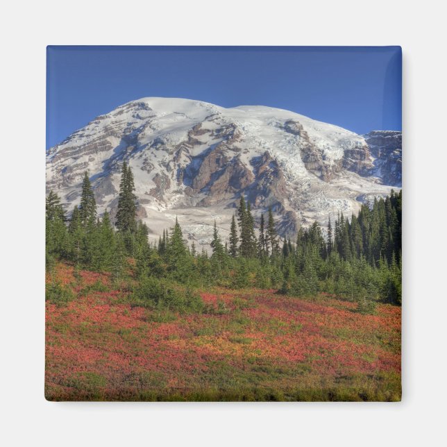 WA, Mt Rainier National Park, Paradise Valley Magnet (Framsidan)