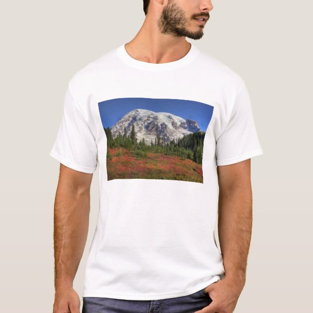 WA, Mt Rainier National Park, Paradise Valley Tee Shirt (Framsida)