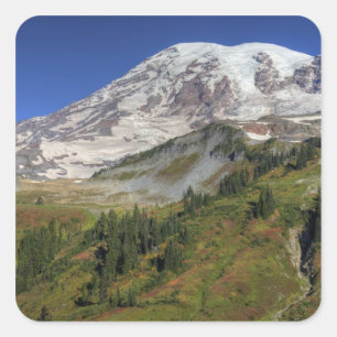 WA, Mt. Rainier National Park, utsikt från Fyrkantigt Klistermärke