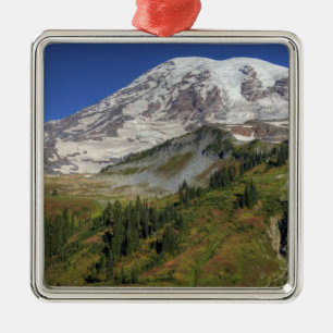 WA, Mt. Rainier National Park, utsikt från Julgransprydnad Metall
