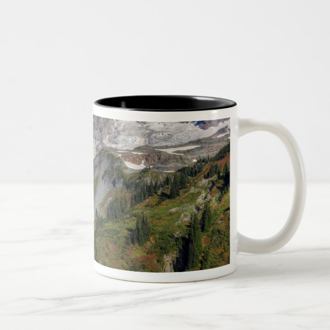 WA, Mt. Rainier National Park, utsikt från Två-Tonad Mugg (Höger)