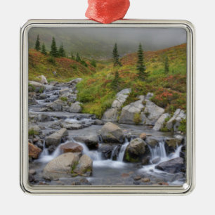 WA, Mt. Rainier nationalpark, Edith Creek Julgransprydnad Metall
