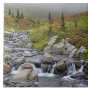 WA, Mt. Rainier nationalpark, Edith Creek Kakelplatta