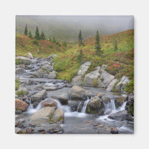 WA, Mt. Rainier nationalpark, Edith Creek Magnet