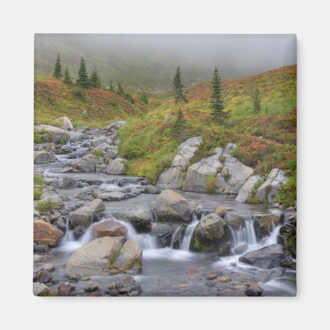 WA, Mt. Rainier nationalpark, Edith Creek Magnet (Framsidan)